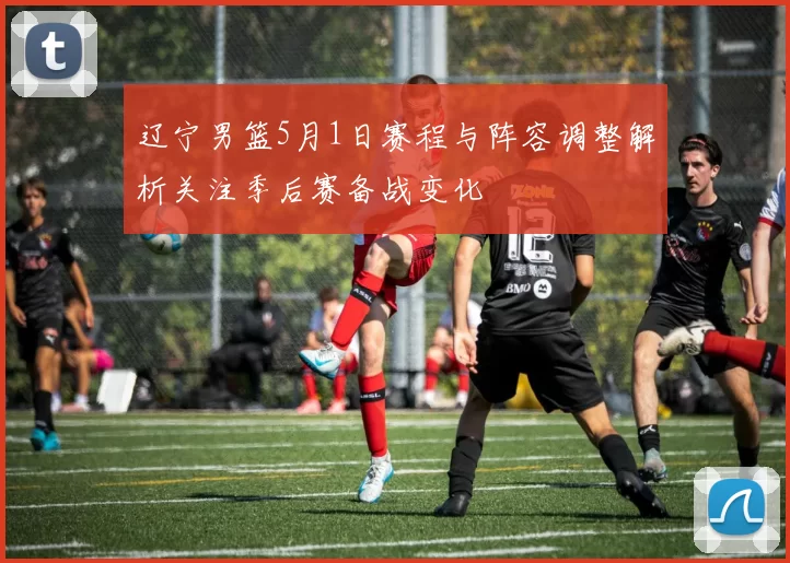 辽宁男篮5月1日赛程与阵容调整解析关注季后赛备战变化